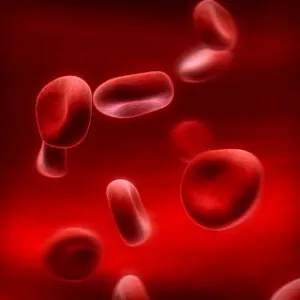 Platelets